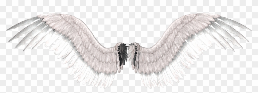 Stickers Stickerstumblrs Tumblr Efectos Wings Clipart