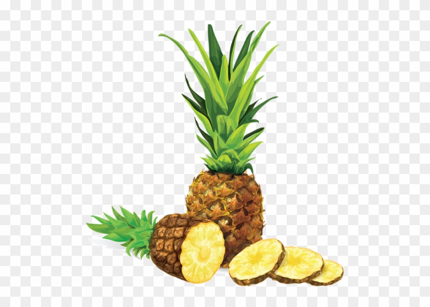 Vector Library Stock Pineapple Illustration Png And - Pineapple Illustration Clipart