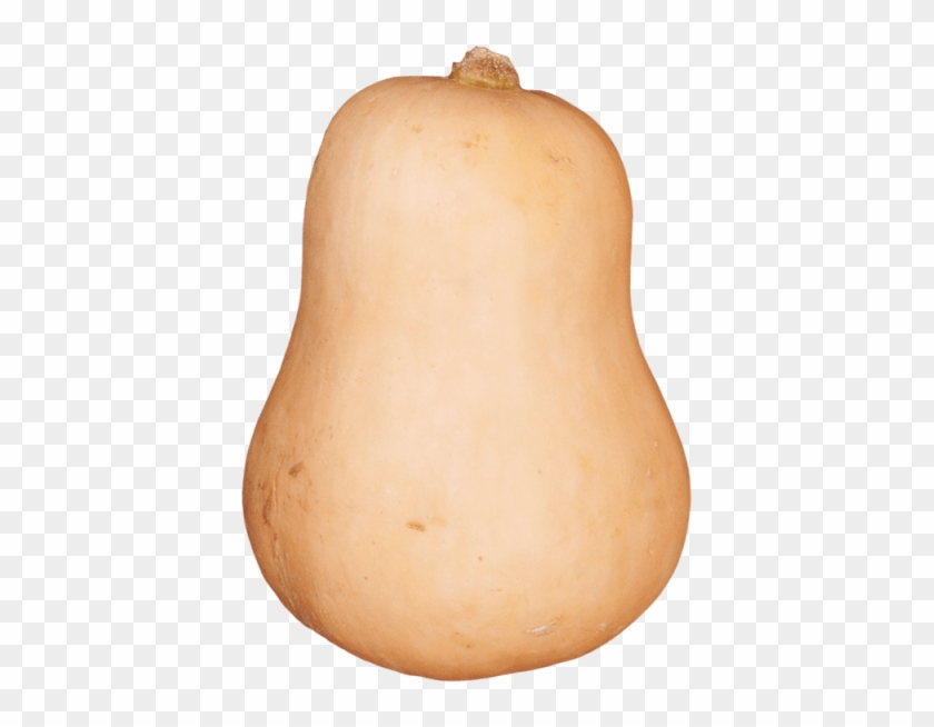 Peeled Pumpkin - Butternut Squash Png Clipart