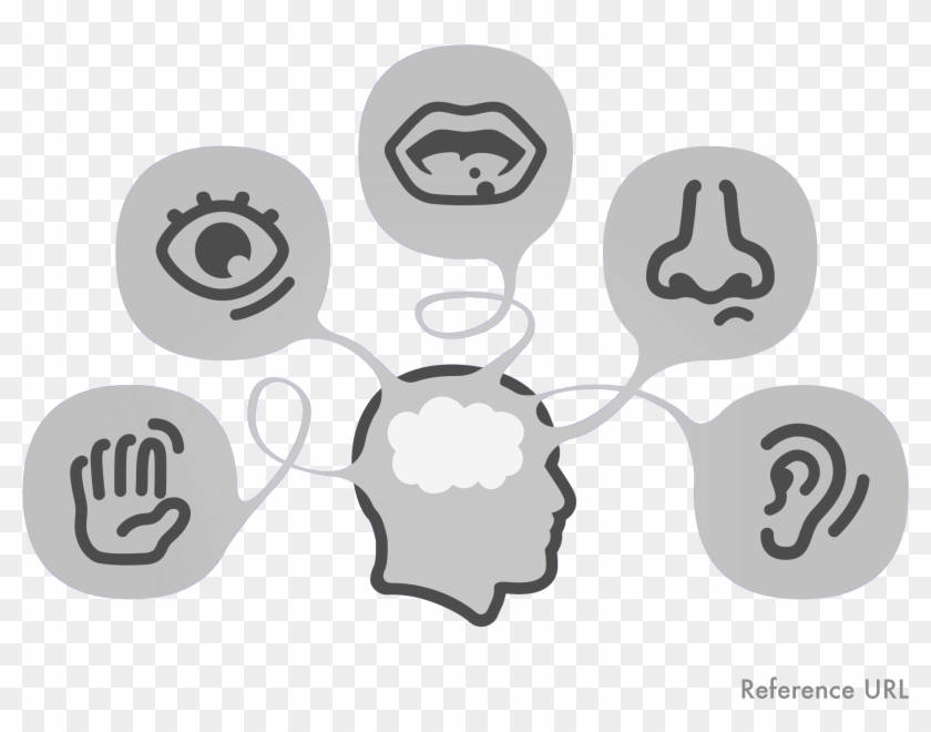 Brain - Sensory Input Clipart