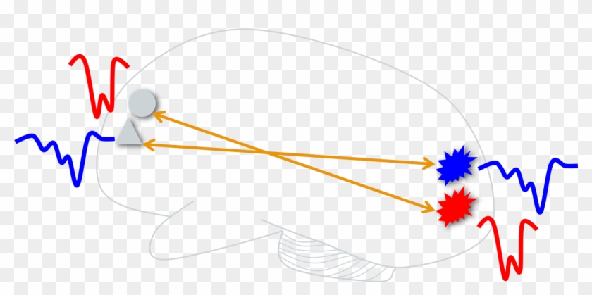 How Does Cross Modal Communication Happen Clipart