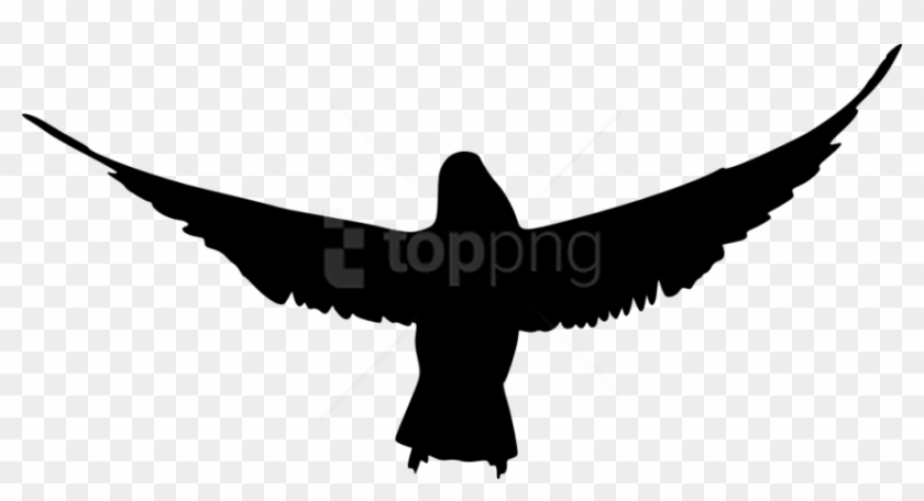 Bird Silhouette Png - Bird Silhouette Bird Png White Clipart #1235398