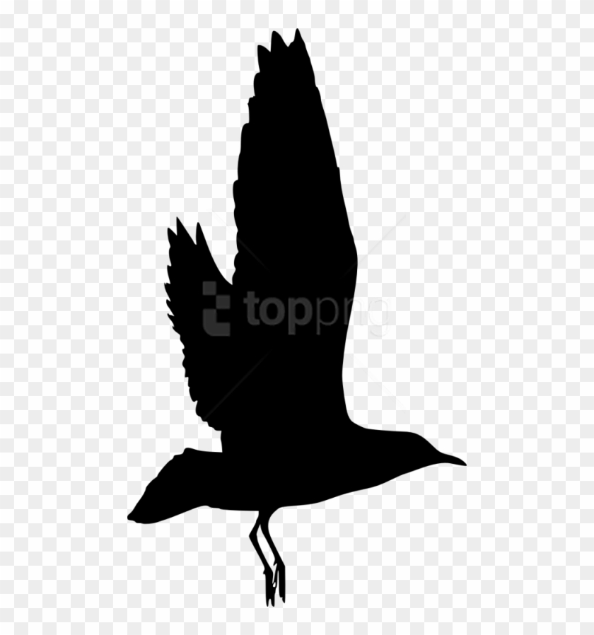 Free Png Bird Silhouette Png - Birds White Silhouette Transparent Clipart #1235401