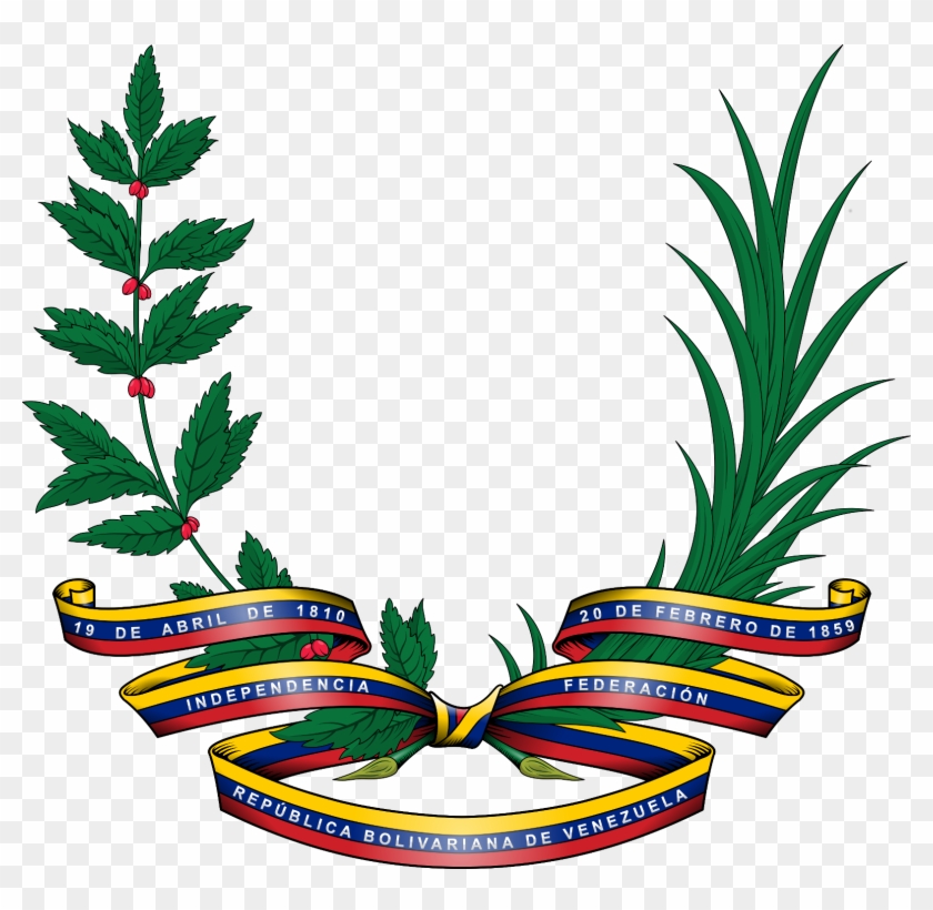 Ramas De Olivo Png - Partes Del Escudo De Venezuela Clipart