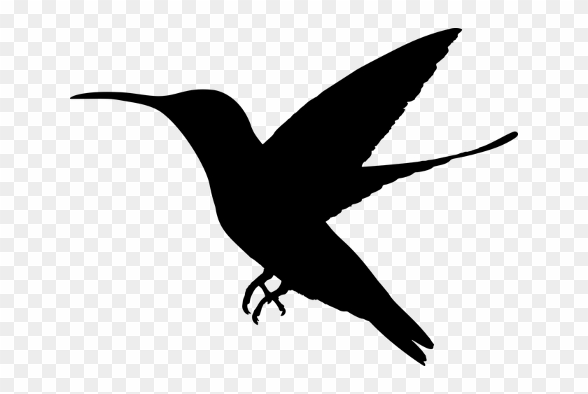 Animal, Bird, Flying, Hummingbird, Silhouette - Hummingbird Silhouette Png Clipart #1235617