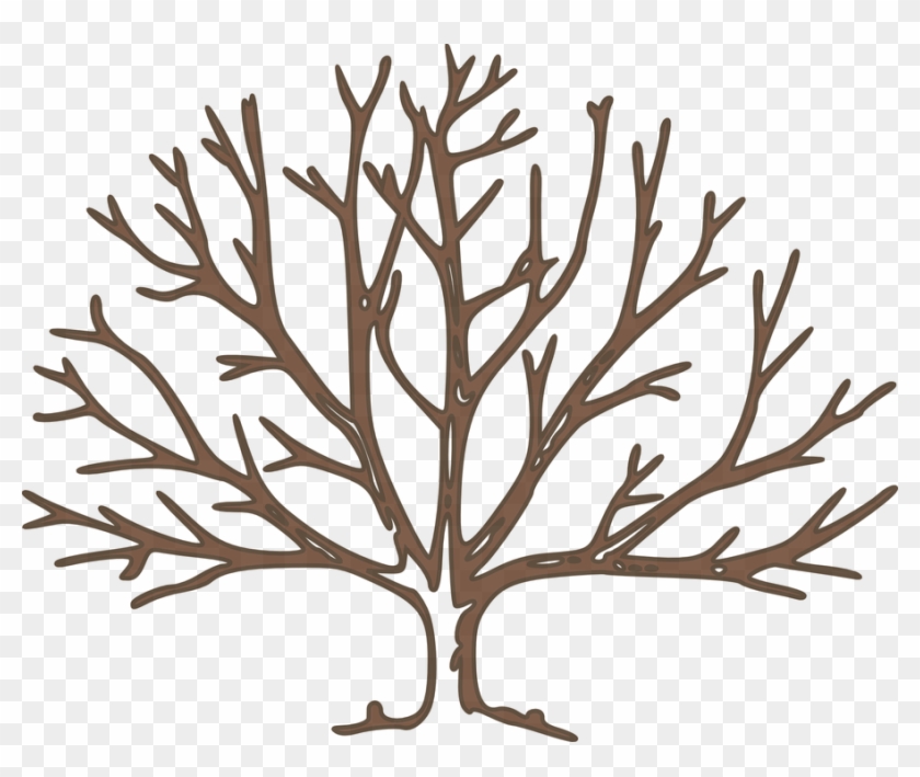 Arbol Ramas Png - Bare Tree Clipart Transparent Png #1235767