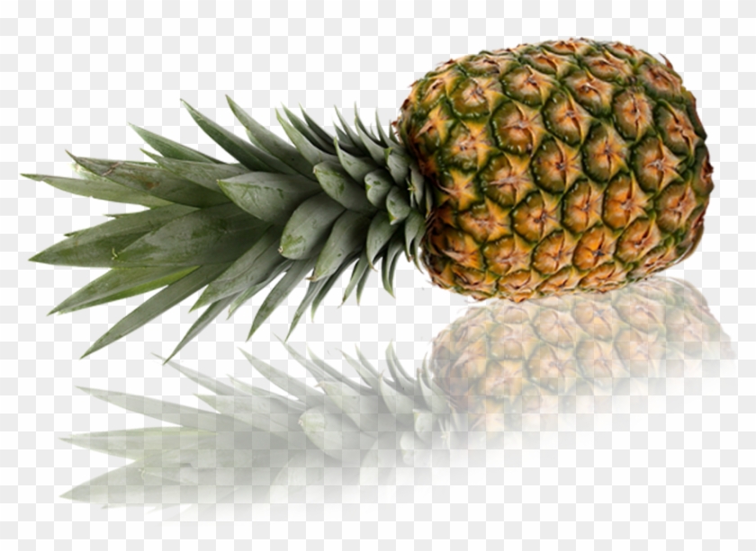 Mermelada De Piña Clipart #1235770