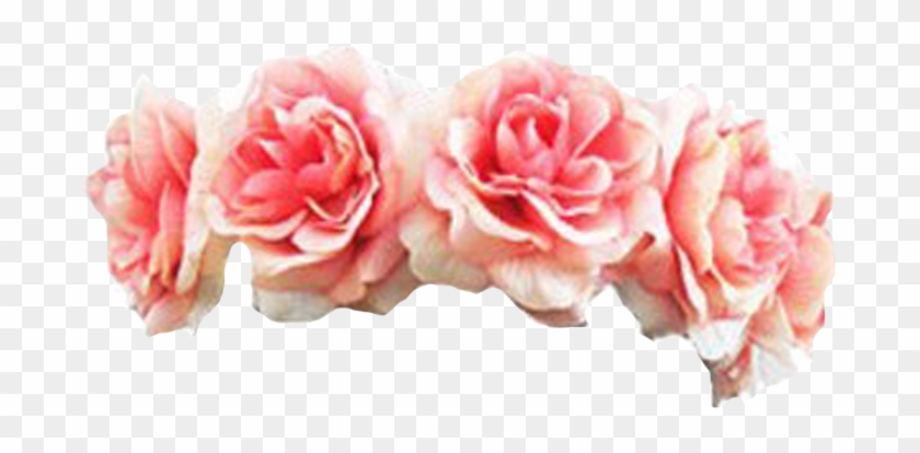 Black Flower Crown Transpa Flowers Healthy - Pink Flower Crown Transparent Clipart