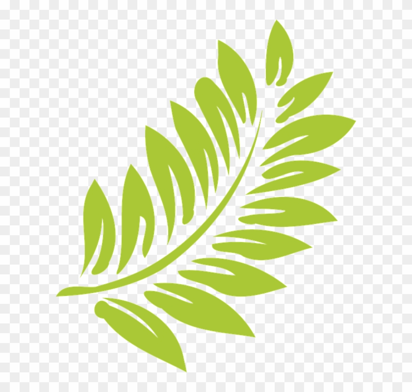 Foliage Clipart Transparent - Hibiscus Clip Art - Png Download
