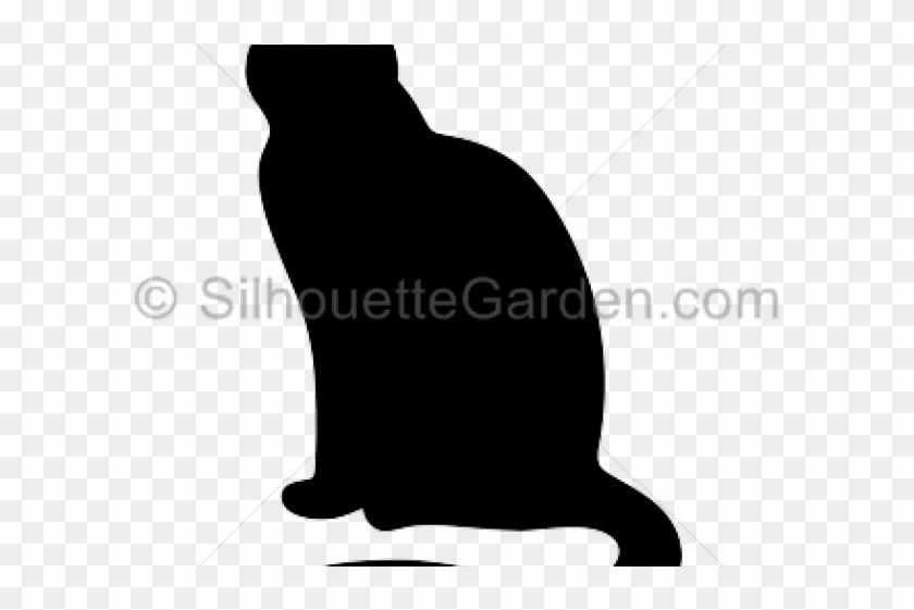 Parrot Clipart
