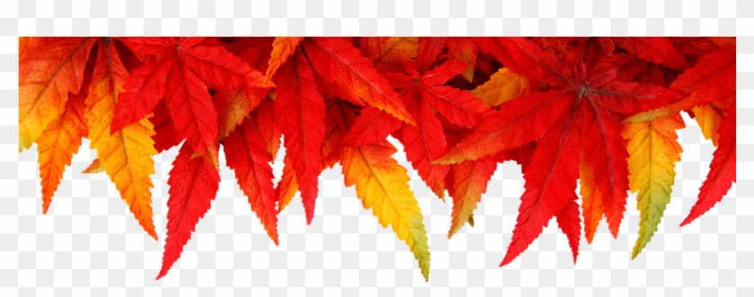 Background, Autumn, Leaves, Fall Foliage, Colorful - Religious Happy New Year Blessings Clipart