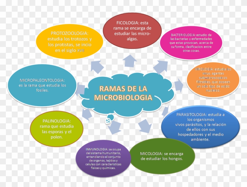 Circle Clipart #1236659