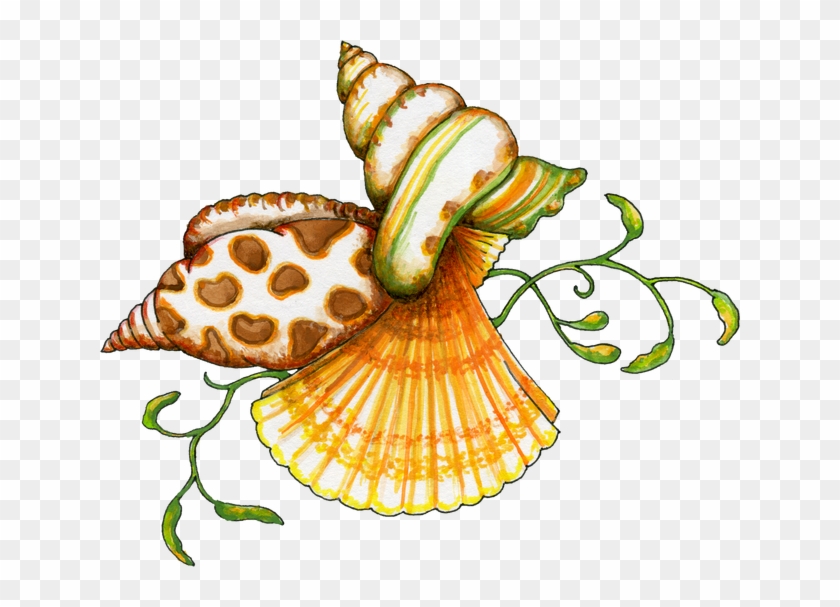 Sea Art, Paint Shop, Sea Creatures, Painted Shells, - Sea Shells Clip Art - Png Download #1236778