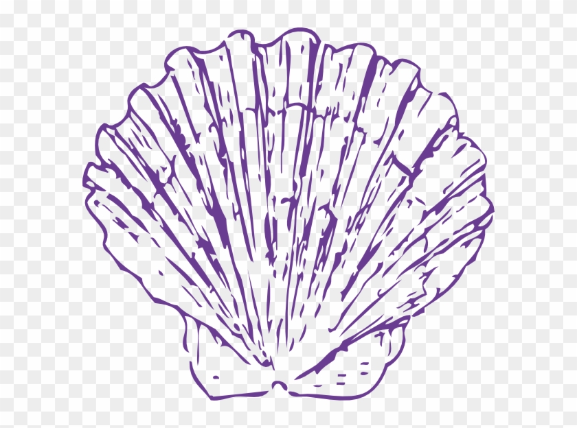 Purple Seashell Png - Transparent Background Blue Seashell Clipart