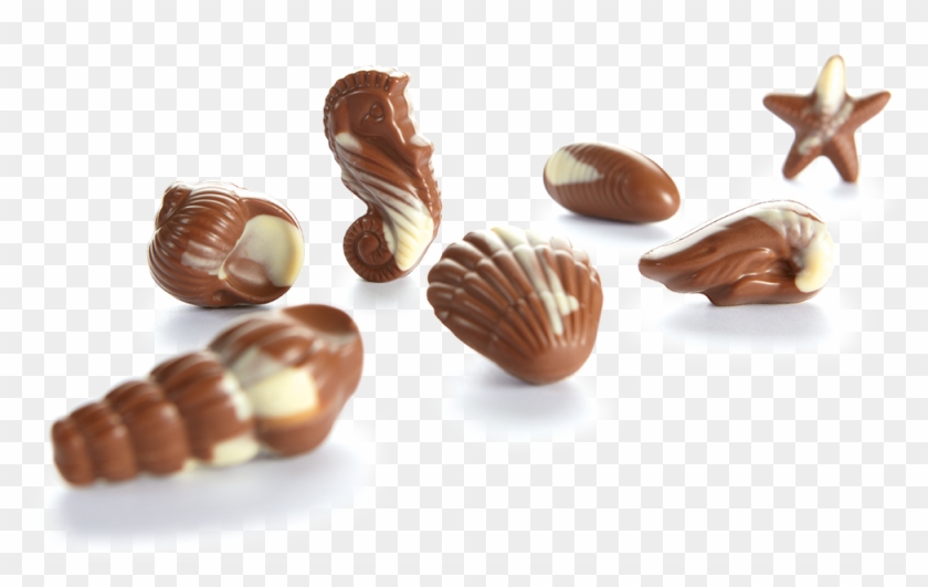 130g - 130g - 130g - Praline Fruit De Mer Clipart