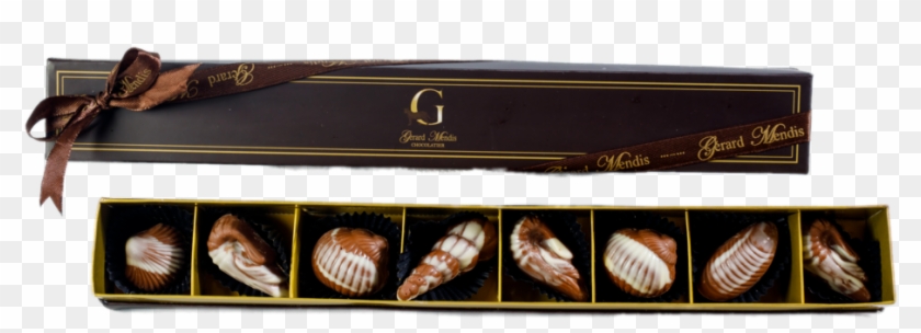 Seashells 8 Piece Chic Paperboard Box - Shell Clipart #1238201