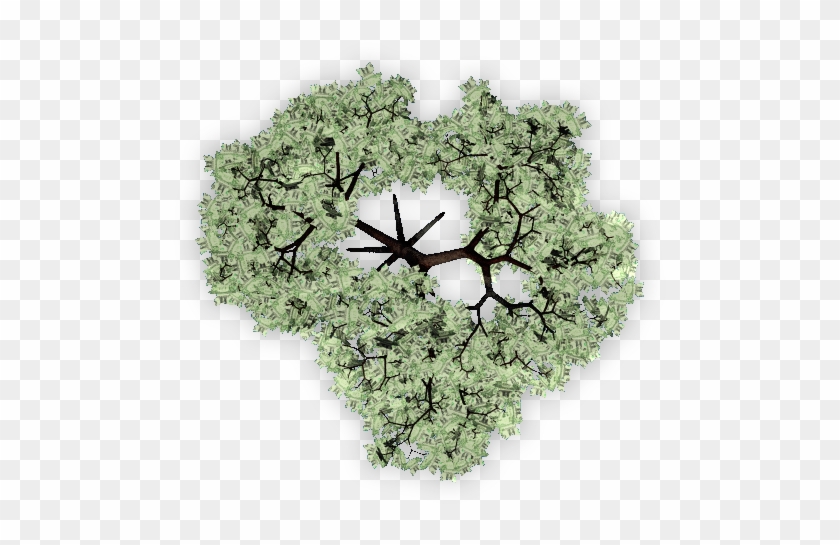 Oakforest4 06 Feb 2009 - Circle Clipart