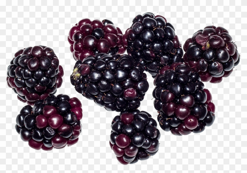 Berries Png , Png Download Clipart