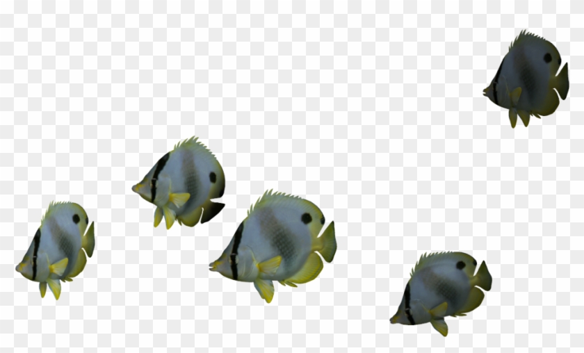 Relentless Commitment To Technology - Group Of Fish Png Clipart #1239272