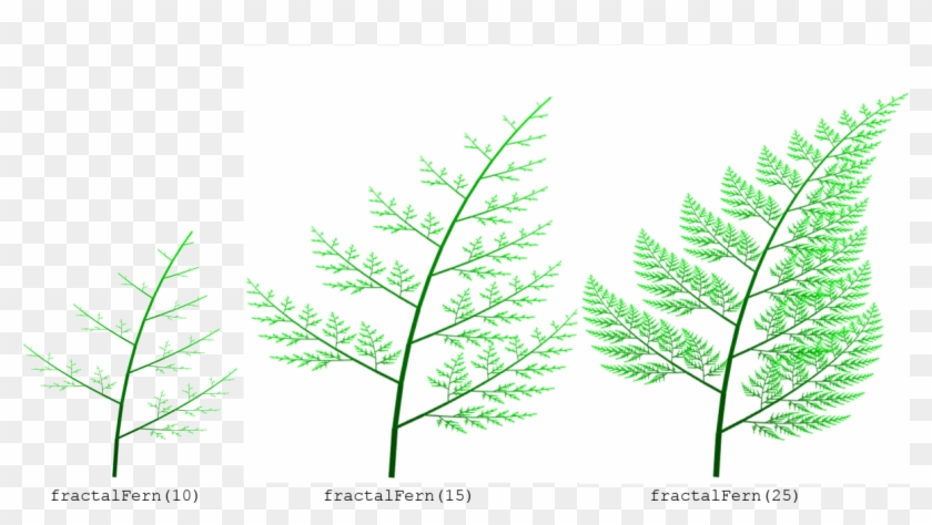 Fern Clipart #1239964
