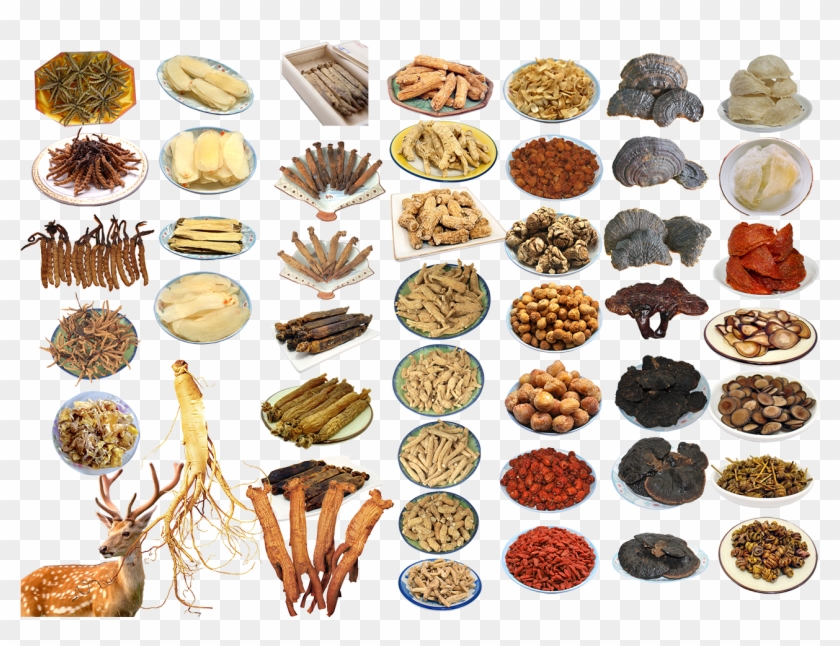 Chinese Food Ingredients - Chinese Herbology Clipart #1241009