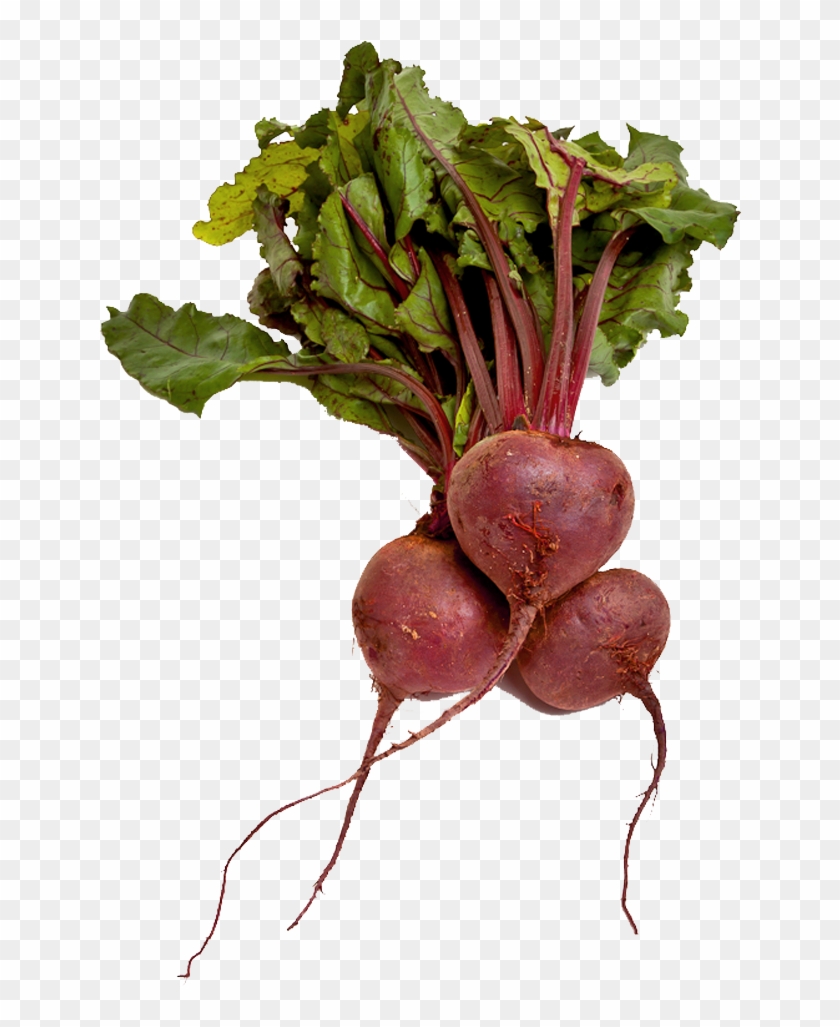 Beet - Sugar Beet No Background Clipart #1243297