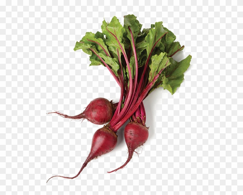 Beet Png Image Transparent Background Clipart