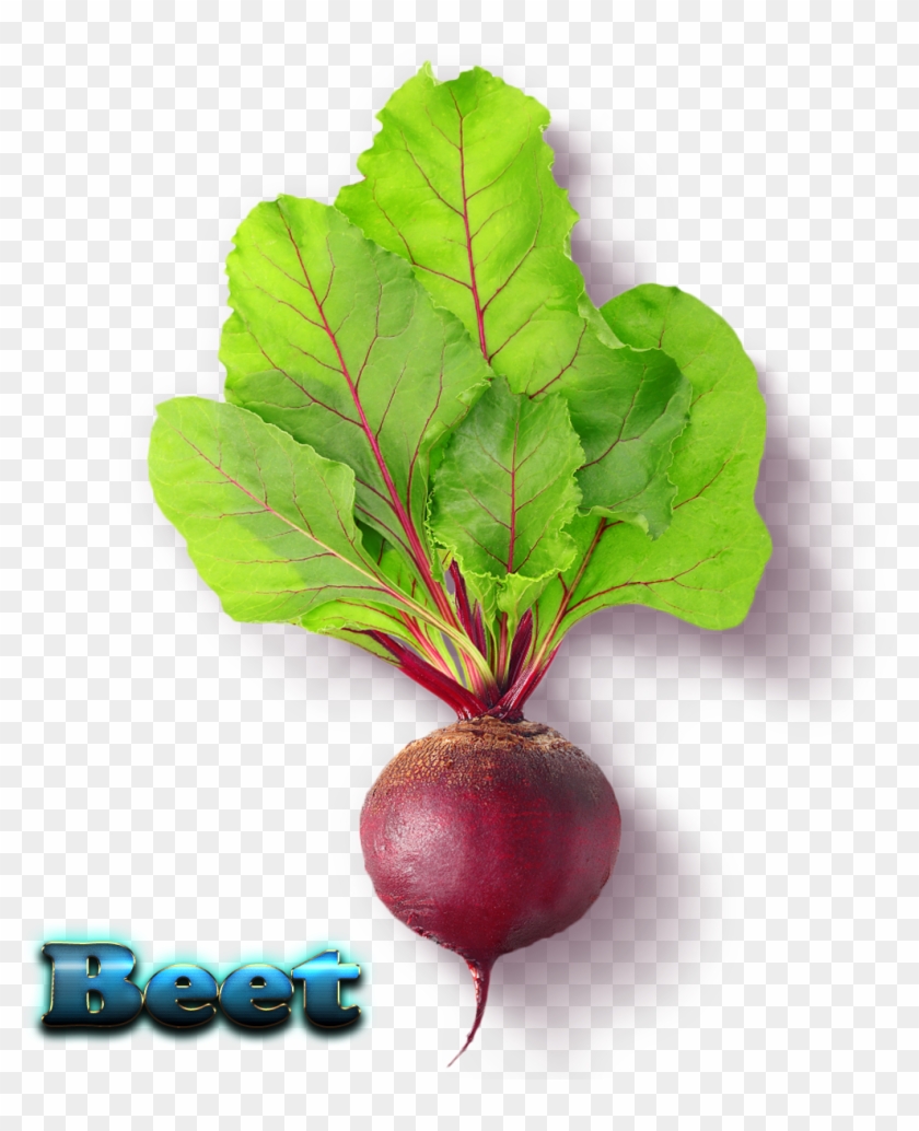 Beet Free Download Png - Beet Greens Clipart
