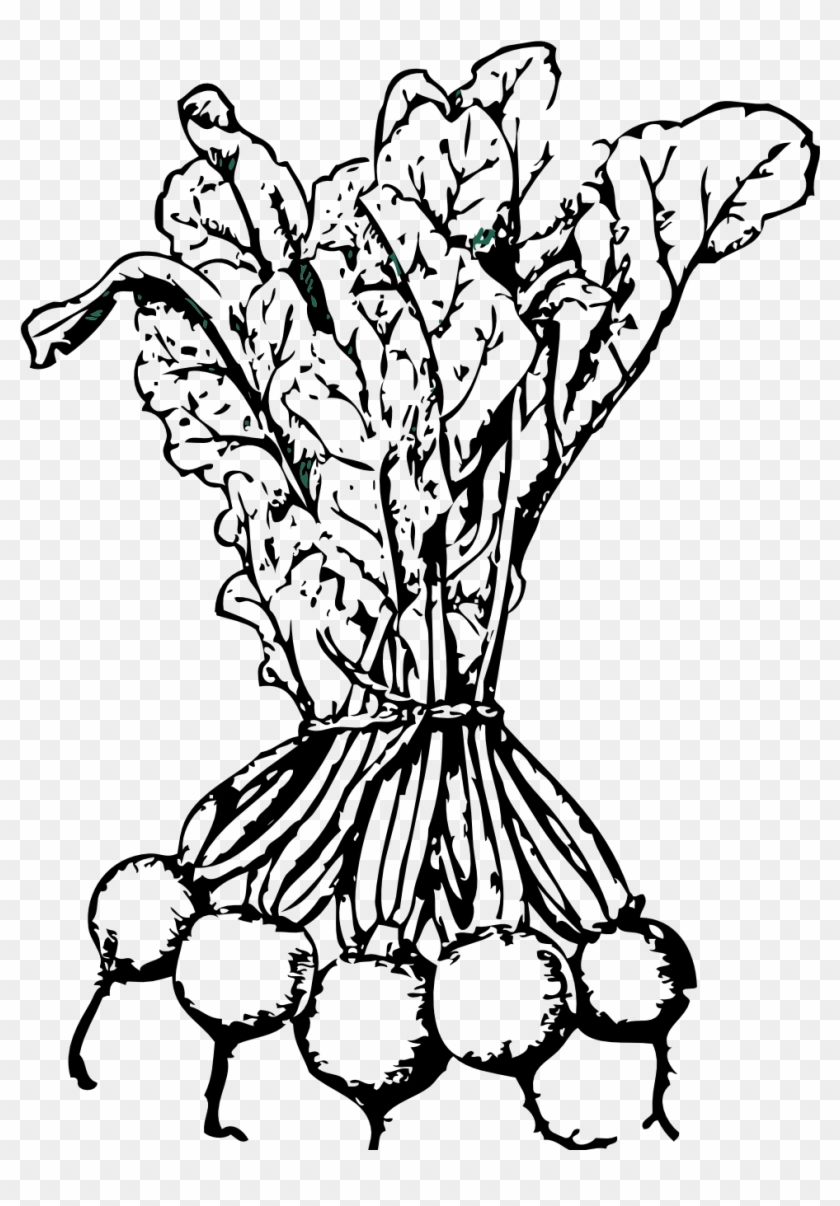 Beets Black White Line Art - Beets Black And White Clipart - Png Download