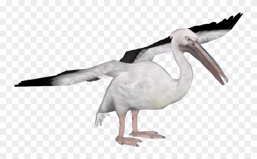 White Pelican Png High-quality Image - Spoonbill Clipart #1246208