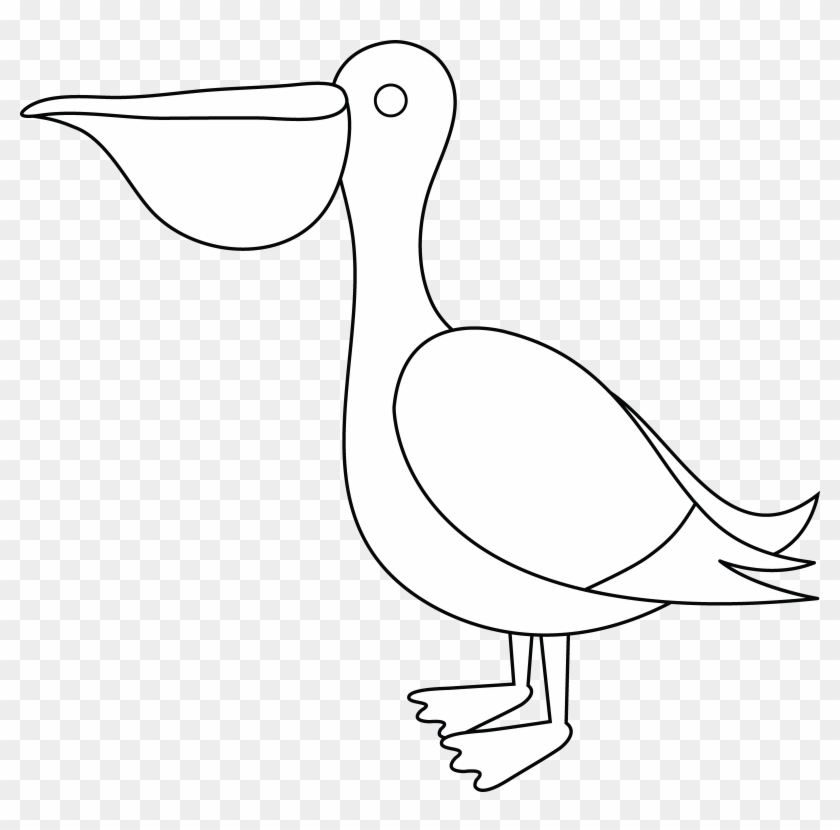 Pelican Clipart Black And White - Water Bird - Png Download