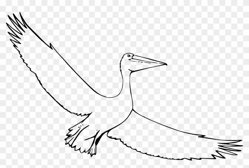 Open - Sketch Pelican Clipart #1246942