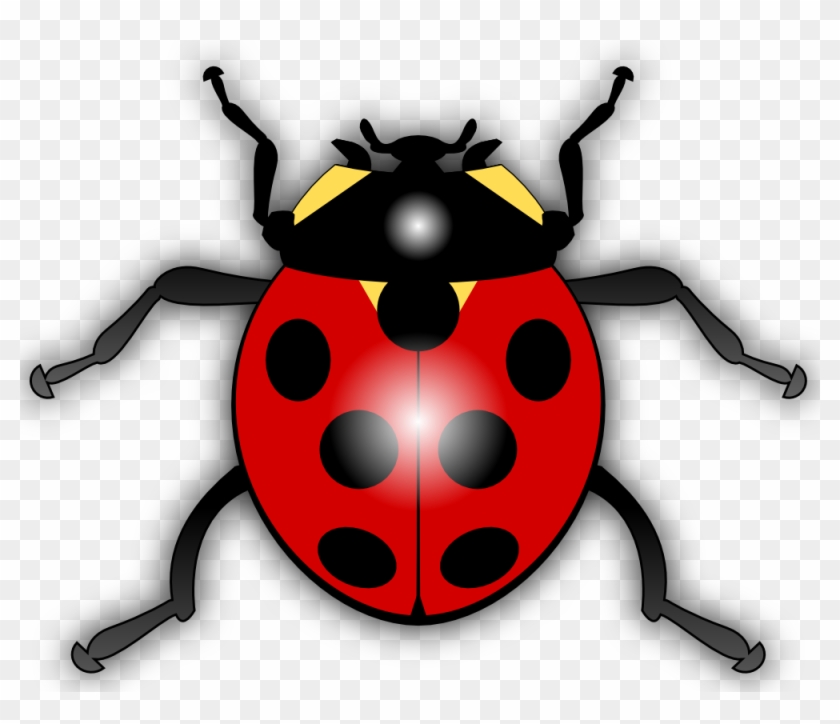 Cartoon Ladybug Clip Art Png - Ladybird Clipart Transparent Png