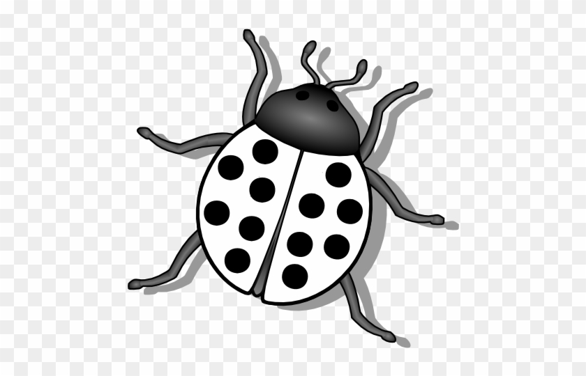 Gustavorezende Lady Bug Black White Line Art 555px - Bug Black And White Clipart