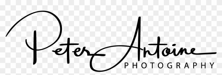 Wedding Photography Logo Clipart