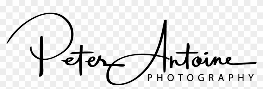 Wedding Photography Logo Clipart #1247053
