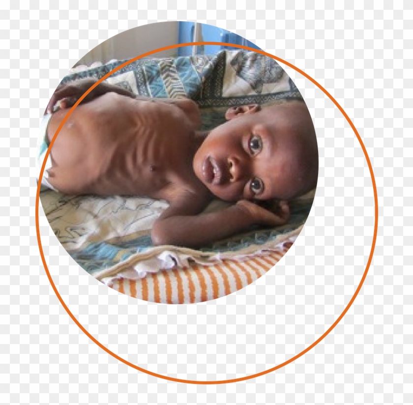 Leon - Haribo Clipart