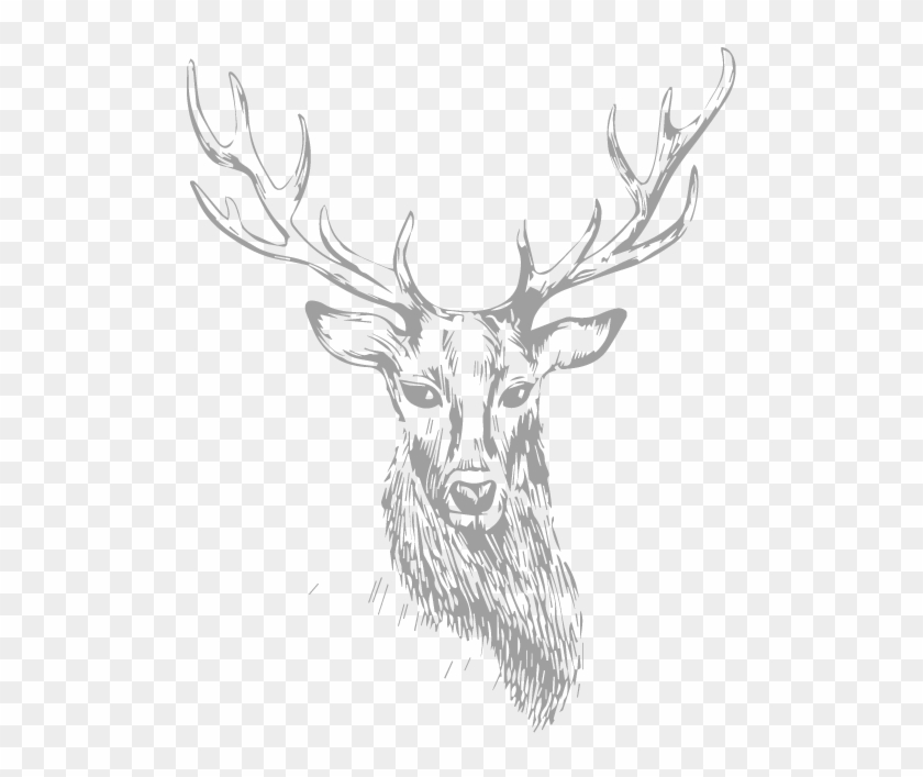 Stag Clipart
