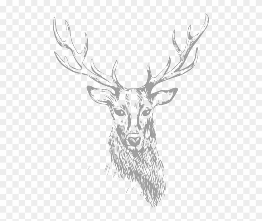 Stag Clipart #1249351