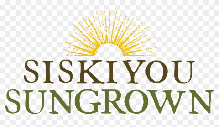 Sslogo Halfsun Newcolor Format=1500w Clipart #1249874