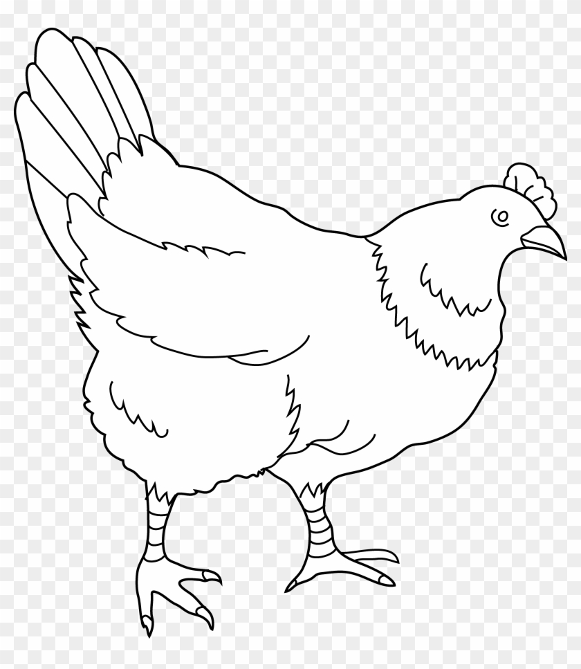 8 Hens Black And White Clipart - Png Download
