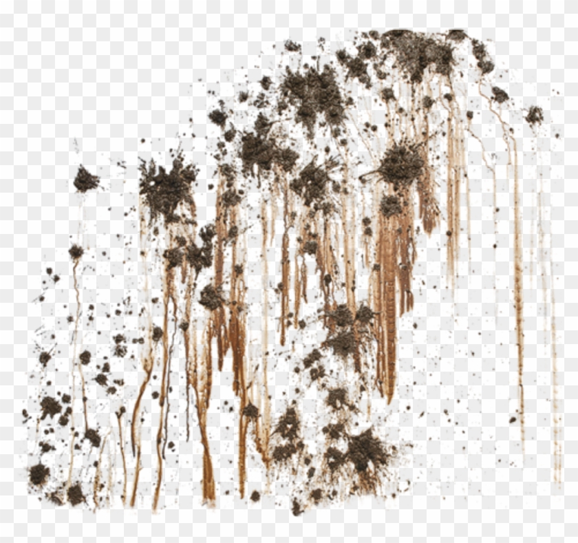 #splash #mud #splatter #stain #foreground #background - Stock Photography Clipart #1250248