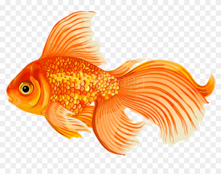 Free Png Download Gold Fish Clipart Png Photo Png Images - Gold Fishclipart Transparent Png #1250368