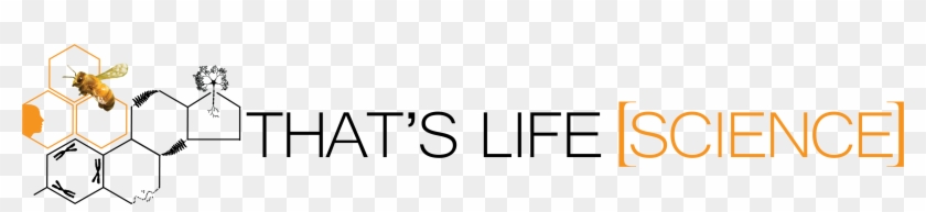 Thats Life Science An Interdisciplinary Life Science - Calligraphy Clipart