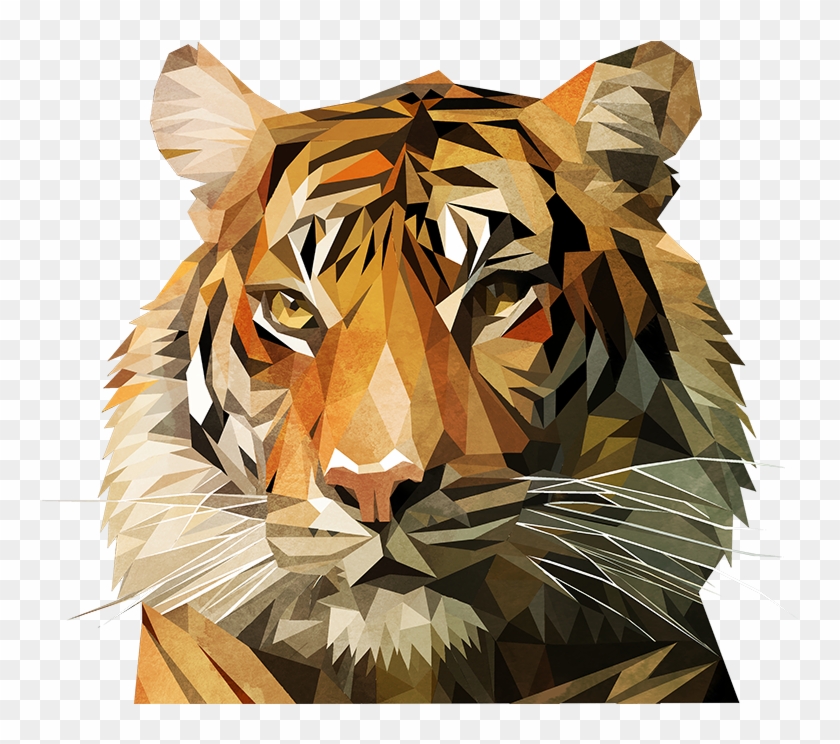 Vector I Am On Behance Then Mirrored And - Bengal Tiger Clipart
