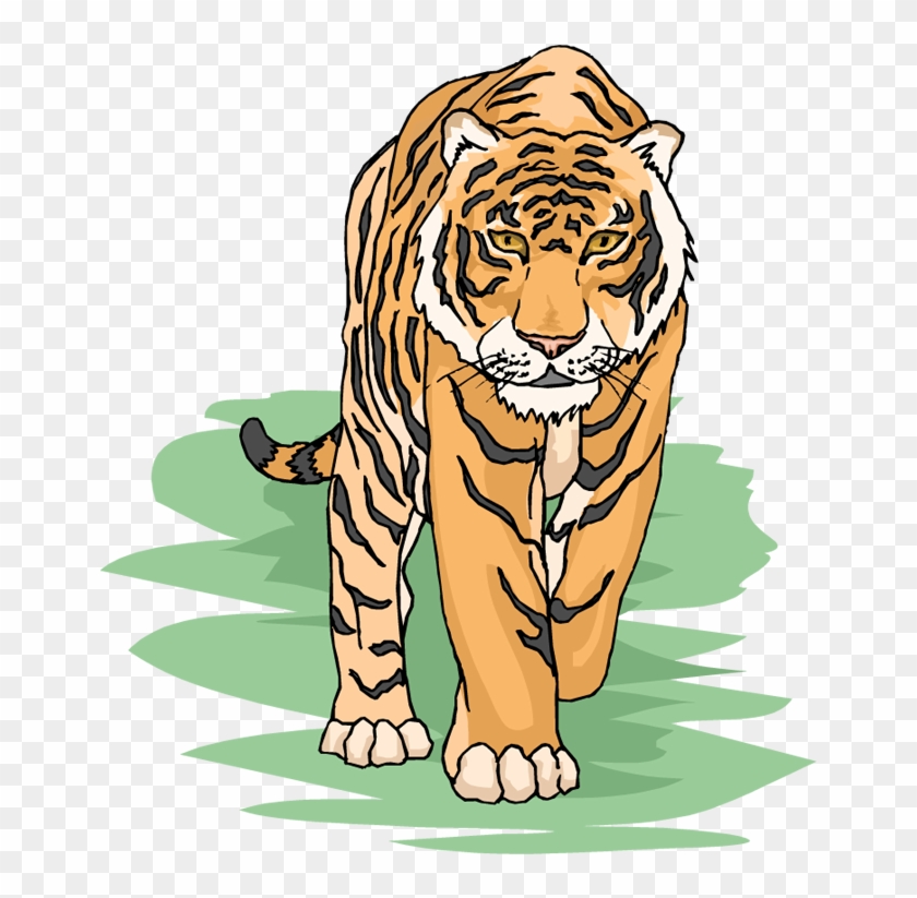 Tiger Clip Art Images Free - Tiger Walking Clip Art - Png Download #1253043