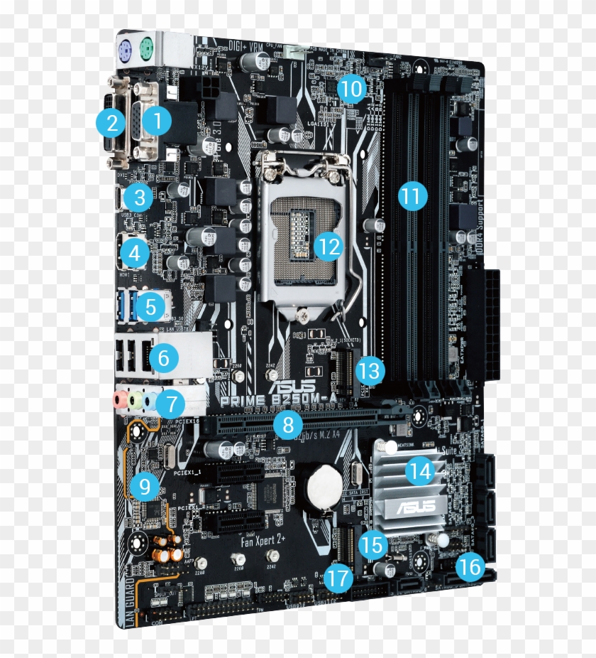 1 Vga Port - Asus B250m Clipart