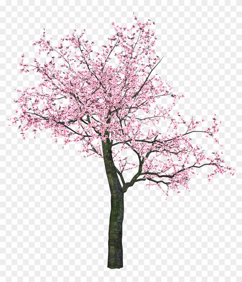 Spring Tree Clip Art - Png Download