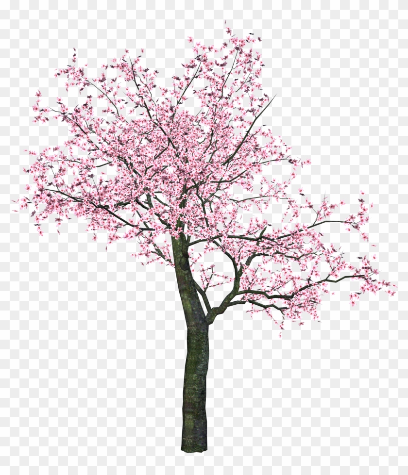 Spring Tree Clip Art - Png Download #1254312