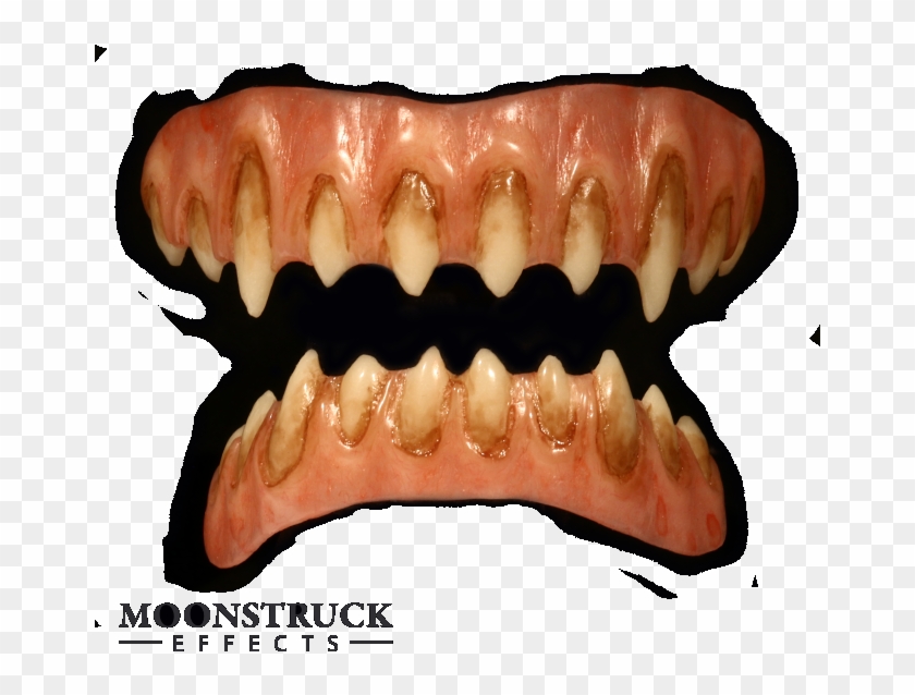 Bone Clipart #1254355